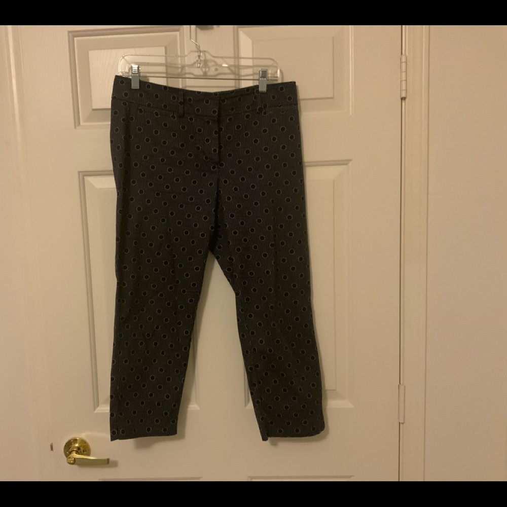 Ann Taylor Capri Pants